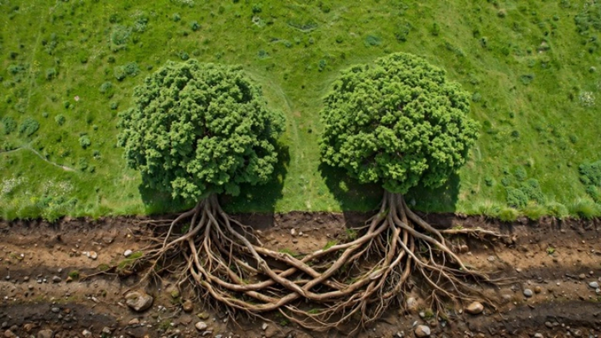 Blog article image for childhood relationships and adulthood